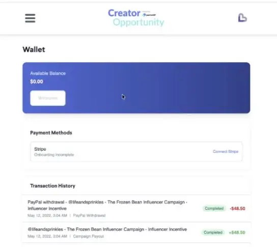 The screenshot displays the wallet section of the platform, showing the available balance, payment methods, and transaction history. The transaction history includes details of payments made and received.